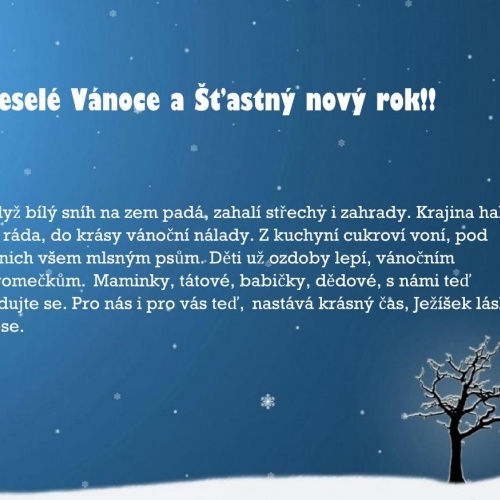 Krásné Vánoce! (přáníčko žáků)