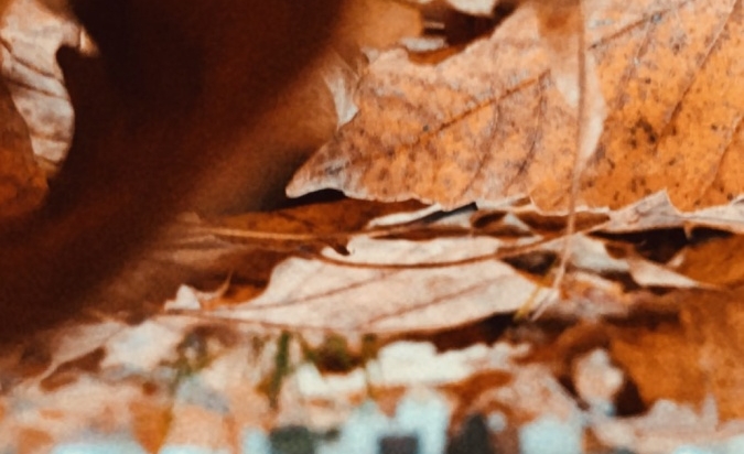 Podzimní Rohatec - fotosoutěž - Podzimní Rohatec - Adéla Řezáčová