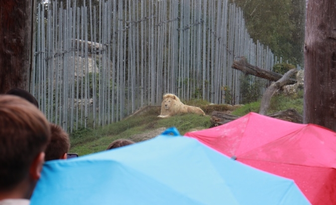 Exkurze v Hodoníně - ZOO a Galerie umění