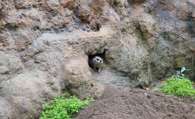 Exkurze v Hodoníně - ZOO a Galerie umění