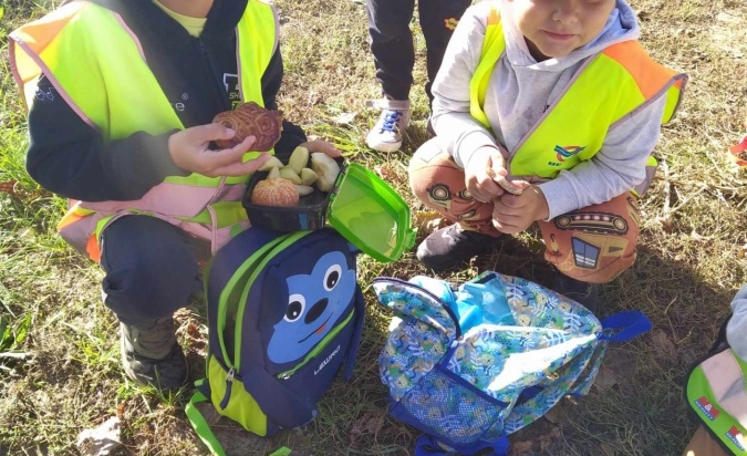 Environmentální vycházka třídy Berušek